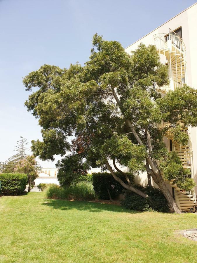 Apartment Calme Avec Parking Et Ascenseur -304- *