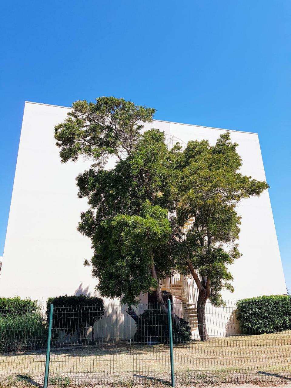 Calme Avec Parking Et Ascenseur -304- * Canet-en-Roussillon
